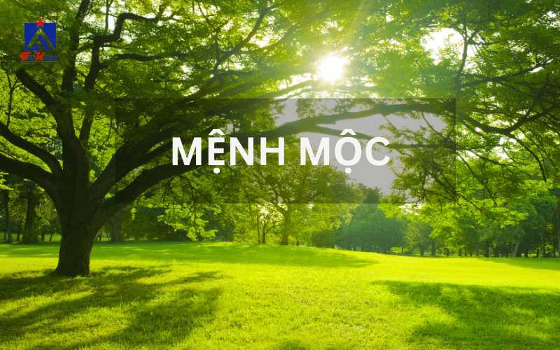 người mệnh Mộc